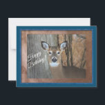 White Tailed Deer Happy Birthday Postcard<br><div class="desc">Handsome White tailed deer in woods caught staring at me.
wishing you a happy birthday (more on the inside)</div>