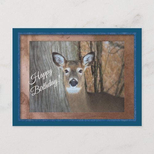 White Tailed Deer Happy Birthday