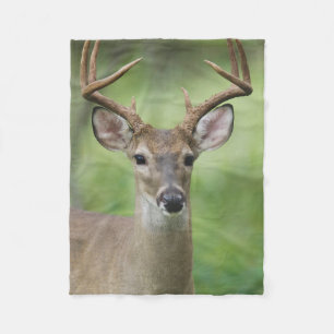White-tailed Deer Hill Country, Texas Fleece Blanket