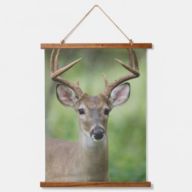White-tailed Deer | Hill Country, Texas Hanging Tapestry (Front)