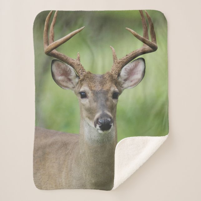 White-tailed Deer | Hill Country, Texas Sherpa Blanket (Front)