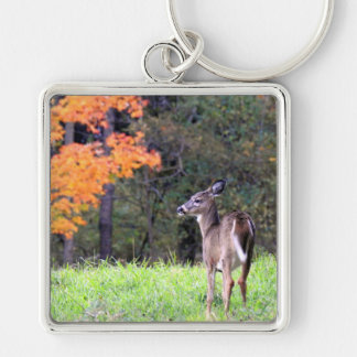 White Tailed Deer In an Autumn Field Keychain