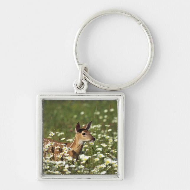 White-tailed Deer in Field of Flowers Keychain (Front)