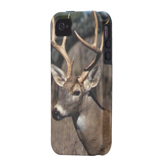 White-Tailed Deer - iPhone 4 Cover (Back Left)
