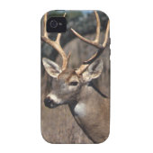 White-Tailed Deer - iPhone 4 Cover (Back)