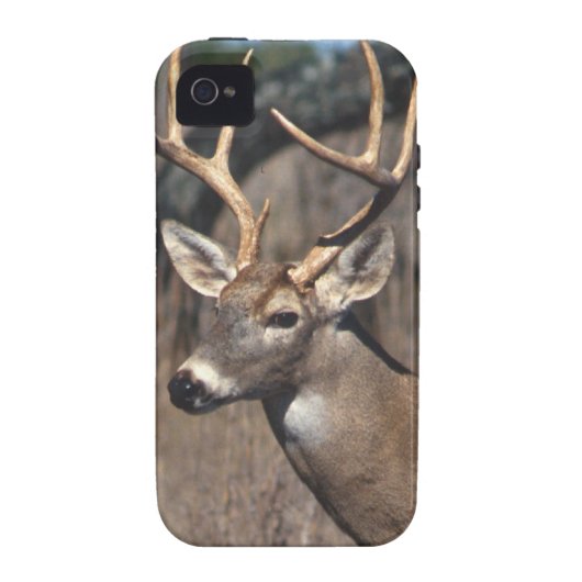 White-Tailed Deer - iPhone 4 Cover (Back)