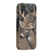 White-Tailed Deer - iPhone 4 Cover (Back/Right)