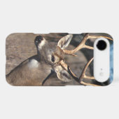 White-Tailed Deer - iPhone 4 Cover (Back (Horizontal))