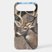 White-Tailed Deer - iPhone 4 Cover (Back)