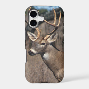 White-Tailed Deer - iPhone 5 Cover