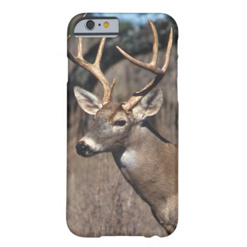 White_Tailed Deer _ iPhone 6 case