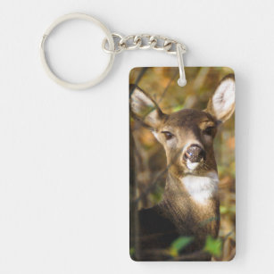 Download Deer Hunting Keychains No Minimum Quantity Zazzle