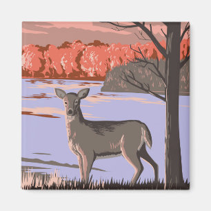 White Tailed Deer Magnet