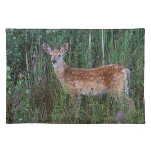 White_tailed Deer  National Bison Range Montana Cloth Placemat