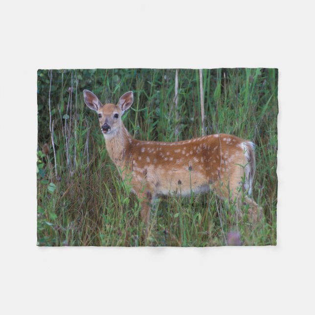 White-tailed Deer | National Bison Range Montana Fleece Blanket (Front (Horizontal))