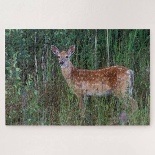 White_tailed Deer  National Bison Range Montana Jigsaw Puzzle