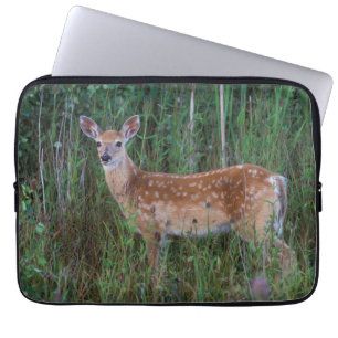 White-tailed Deer National Bison Range Montana Laptop Sleeve