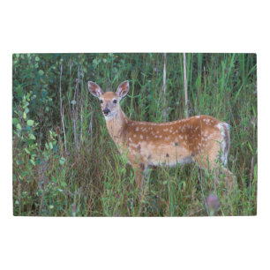 White-tailed Deer National Bison Range Montana Metal Print