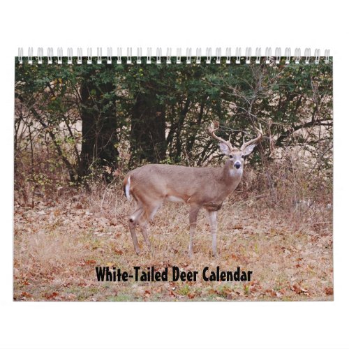 White-Tailed Deer Nature Calendar