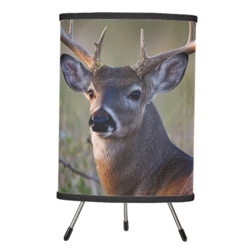 white_tailed deer Odocoileus virginianus 2 Tripod Lamp