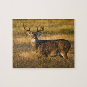 White-tailed Deer (Odocoileus virginianus) adult Jigsaw Puzzle