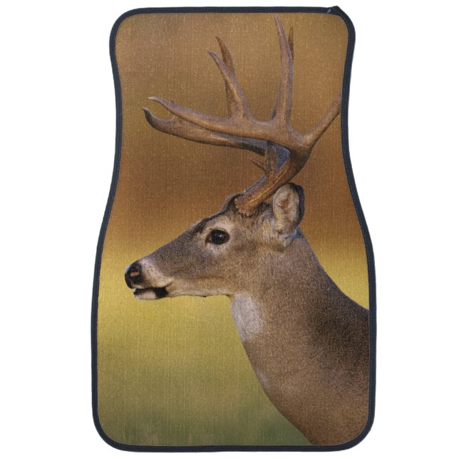 White-tailed Deer, Odocoileus virginianus, Car Floor Mat (Front)
