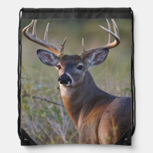 white-tailed deer Odocoileus virginianus Drawstring Bag