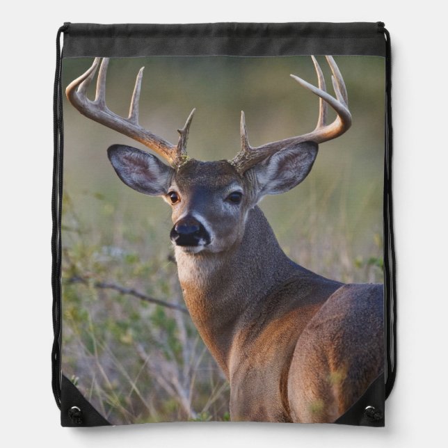 white-tailed deer Odocoileus virginianus Drawstring Bag (Front)