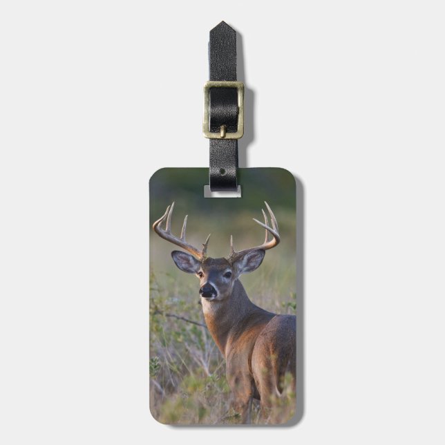white-tailed deer Odocoileus virginianus Luggage Tag (Front Vertical)