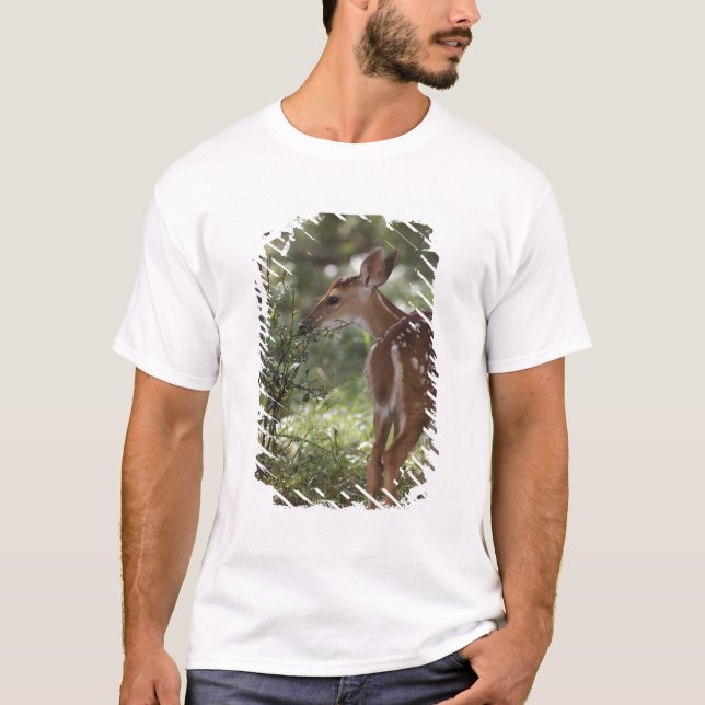 White-tailed Deer, Odocoileus virginianus T-Shirt (Front)