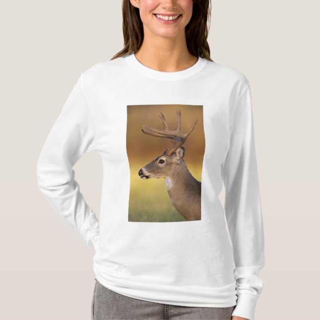 White-tailed Deer, Odocoileus virginianus, T-Shirt (Front)