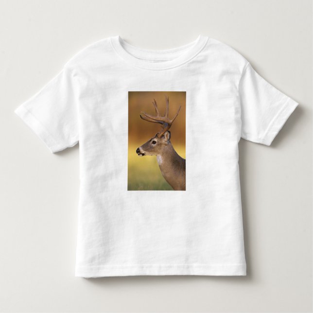 White-tailed Deer, Odocoileus virginianus, Toddler T-shirt (Front)