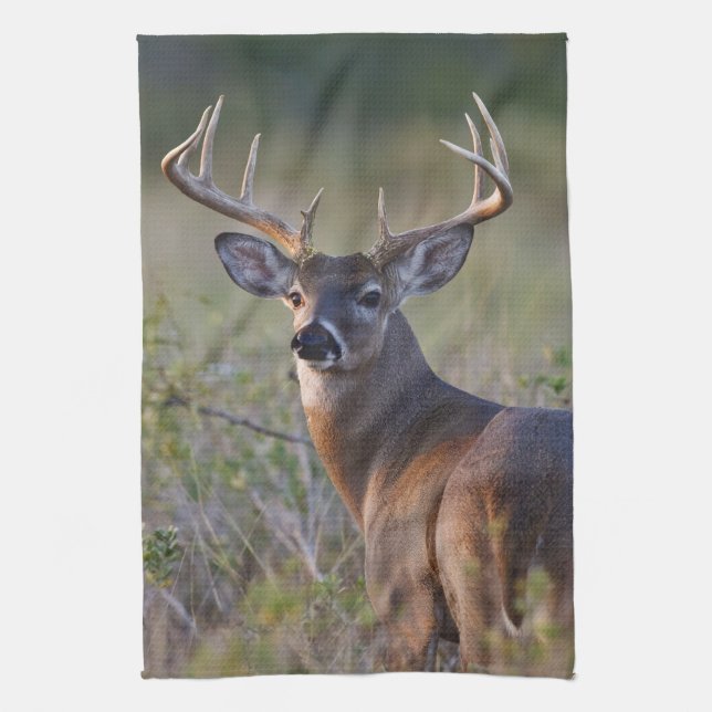 white-tailed deer Odocoileus virginianus Towel (Vertical)