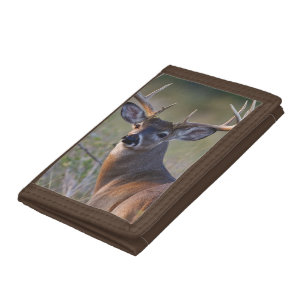 white-tailed deer Odocoileus virginianus Tri-fold Wallet