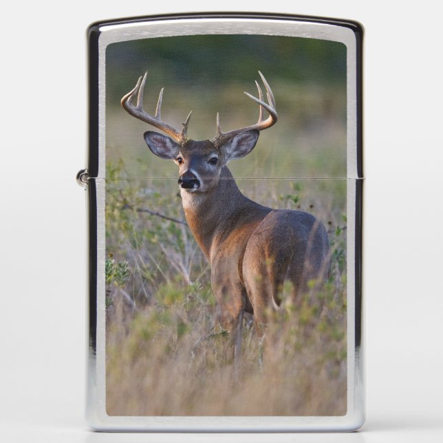 white-tailed deer Odocoileus virginianus Zippo Lighter (Front)