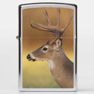 White-tailed Deer, Odocoileus virginianus, Zippo Lighter