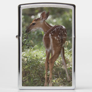White-tailed Deer, Odocoileus virginianus Zippo Lighter