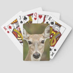 White Tailed Deer Poker Cards