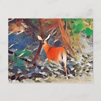 White Tailed Deer Postcard by Kathys_Gallery at Zazzle