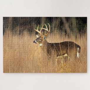 White-tailed Deer   Smoky Mountains Tennessee Jigsaw Puzzle