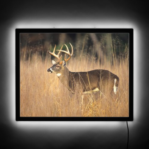 White_tailed Deer  Smoky Mountains Tennessee LED Sign