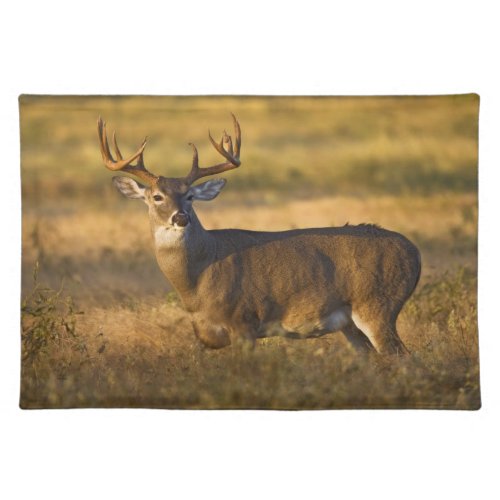 White_tailed Deer  South Texas Cloth Placemat