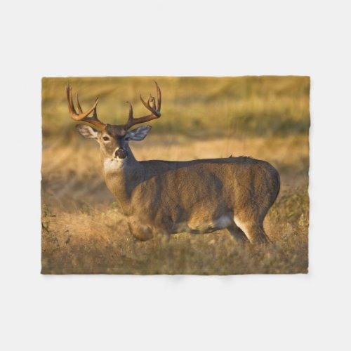 White_tailed Deer  South Texas Fleece Blanket