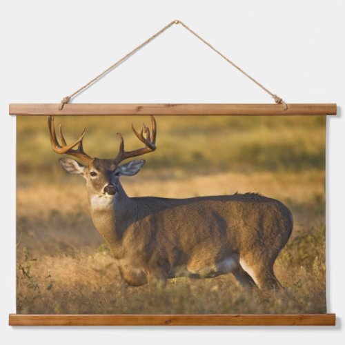 White_tailed Deer  South Texas Hanging Tapestry