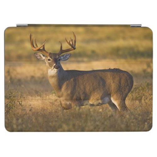 White_tailed Deer  South Texas iPad Air Cover