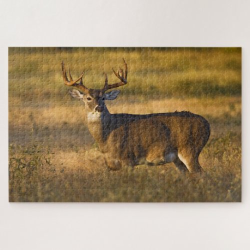 White_tailed Deer  South Texas Jigsaw Puzzle