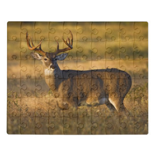 White-tailed Deer   South Texas Jigsaw Puzzle
