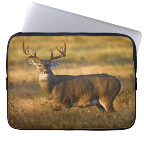White_tailed Deer  South Texas Laptop Sleeve
