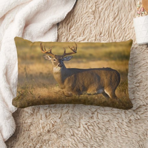 White_tailed Deer  South Texas Lumbar Pillow