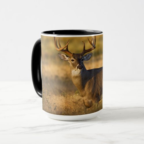 White_tailed Deer  South Texas Mug